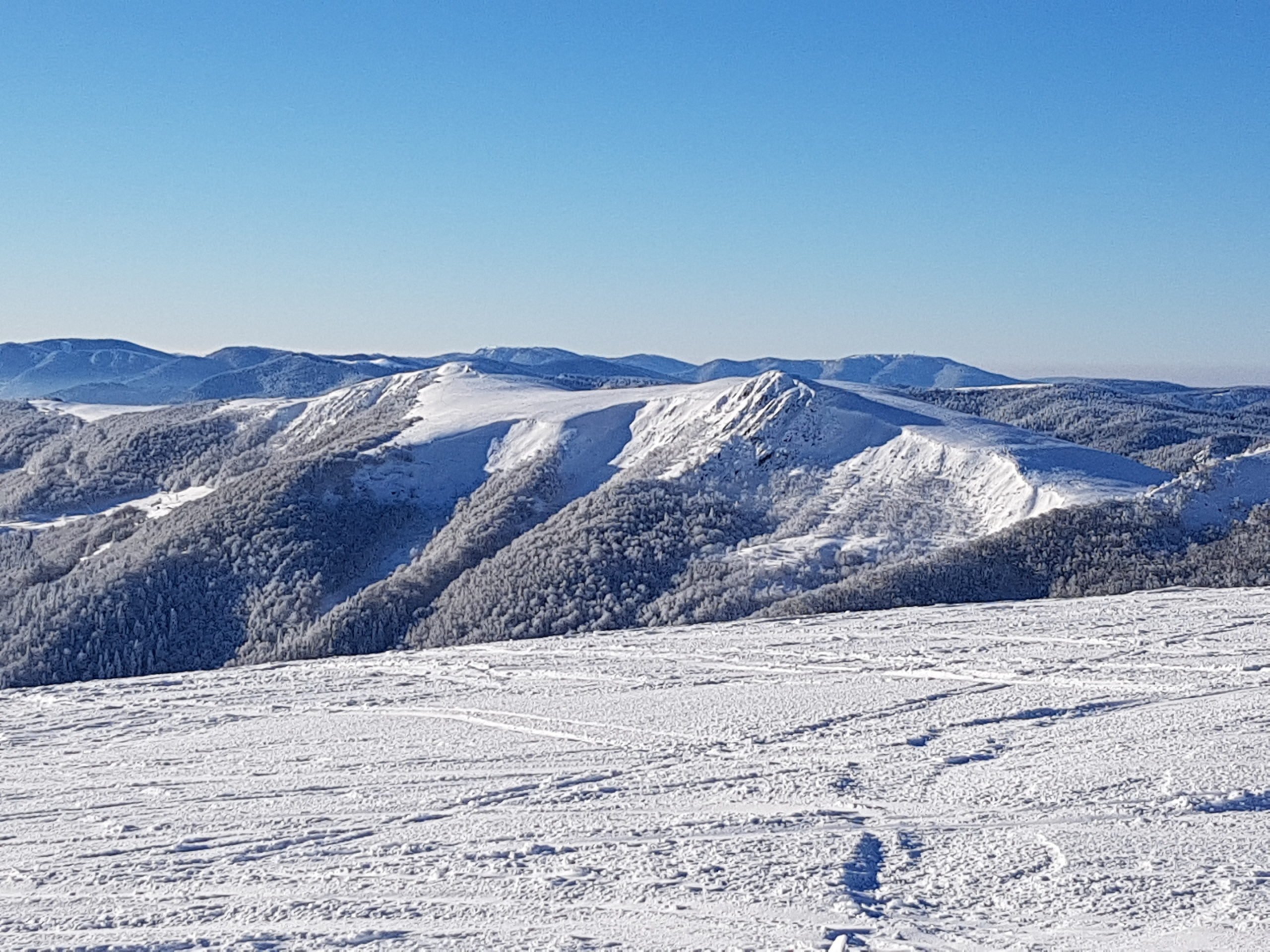 randonnee raquette vosges hiver